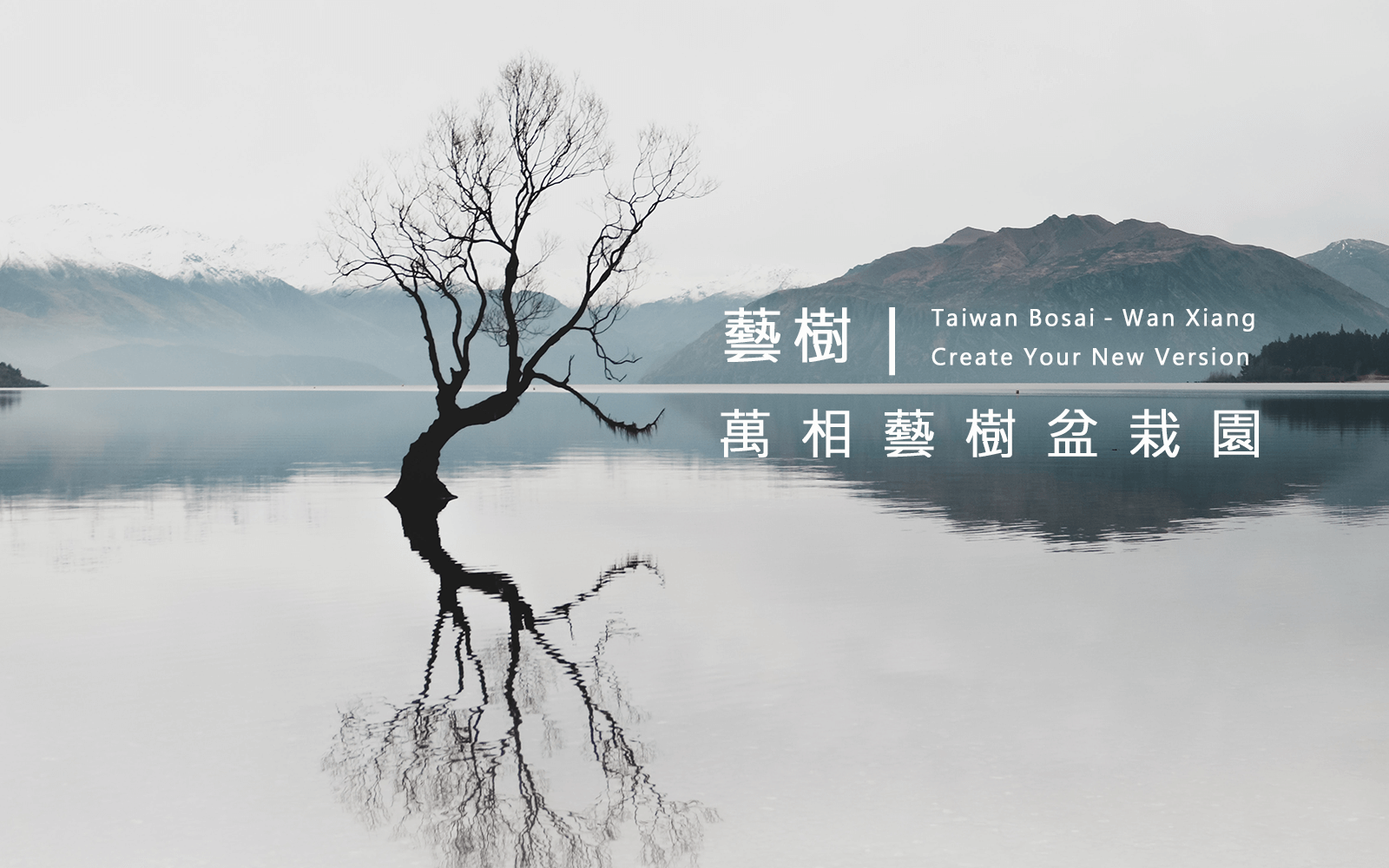 萬相藝樹盆栽園｜Taiwan Bonsai－Wan Xiang