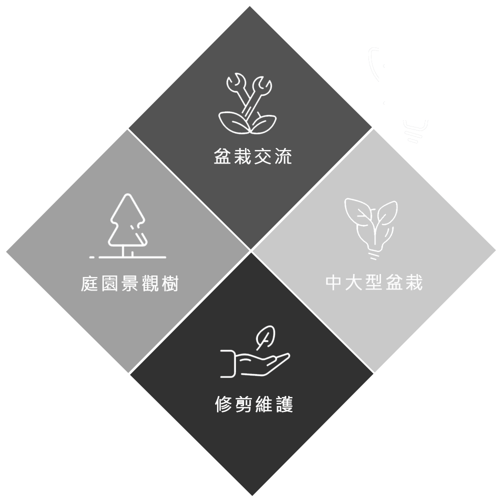 萬相藝樹｜提供項目